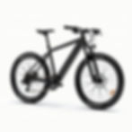 Trail Seeker Mountain Bike