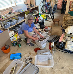 Agnes from Freespace Solutions sorting items.