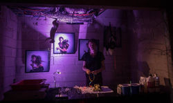 performance taxidermie