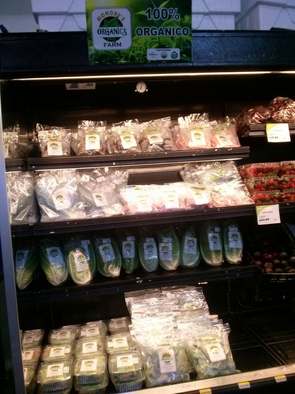 WhatsApp-Image-20160430