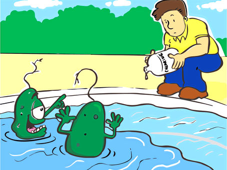 Cartoon showing phosphates in pool water feeding algae growth and causing pool problems