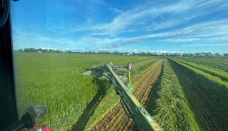 FlaniganAg photo 4.jpg