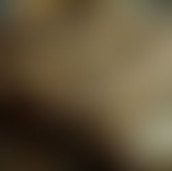 The Book of Habakkuk