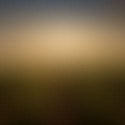 The Soil of Our Hearts