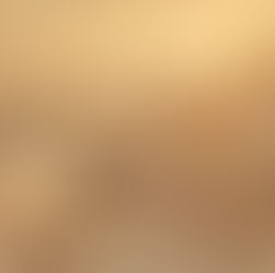 The Book of 1 Chronicles