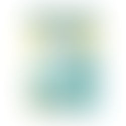 Book Review: "The Power of Now" by Eckhart Tolle