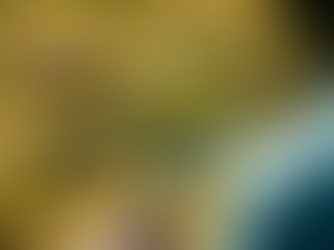 What to Look for When Going for Venue Site Visits?