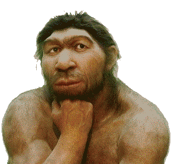 neanderthal.gif
