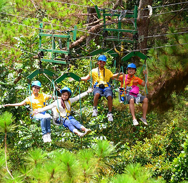 tree top adventure