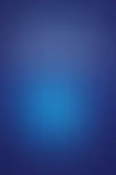 A blog post for anyone interested in the brain.