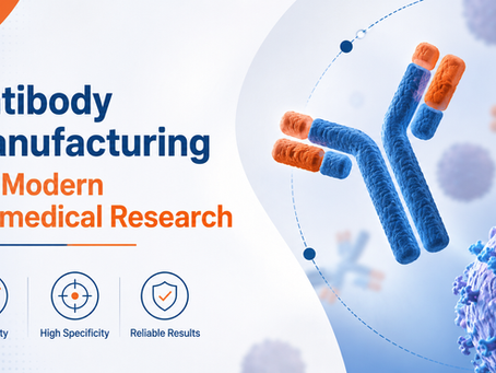 antibody manufacturing