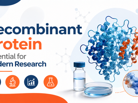 Recombinant Protein	