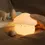 Thumbnail: The Unbearably Cute Baby Collection