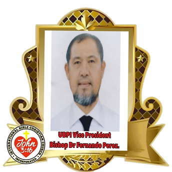 ubpi vice c badge.png