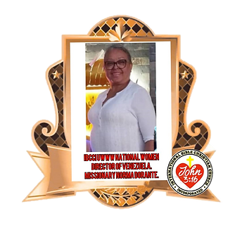 ww venezuela badge.png