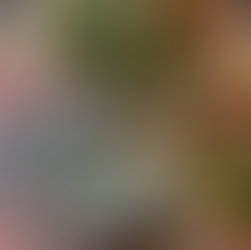 嘉義店｜2026/6/14 (日) 法國 Loire羅亞爾河畔的Ｏyster Party生蠔派對