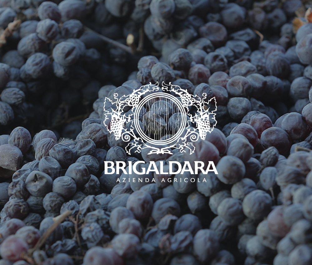 不死重生的風乾葡萄酒｜Brigaldara布里加達拉餐酒會