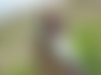 2024/5/18(六)台灣女婿、英國最佳侍酒師、自然派先趨Franck Massard