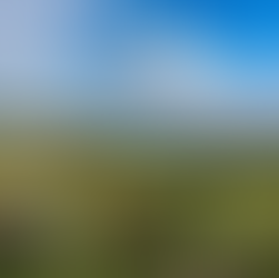 2023/6/24(六)味蕾的狂歡之聲—奧地利葡萄酒之路