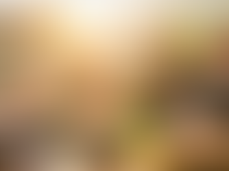 嘉義店|2025/11/23(日) Beaujolais Nouveau Party 薄酒萊新酒開趴啦