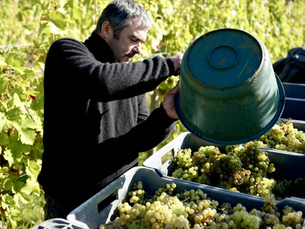 2026/2/21(六) 讓葡萄自己說話:Rieffel 希費莊主來台品酒會