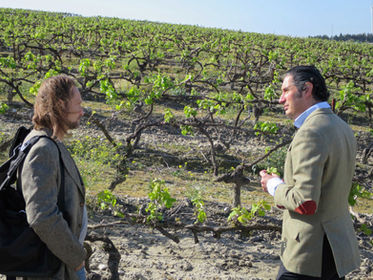 2026/1/25(日) 雪莉區獨霸一方的老靈魂Ximénez-Spínola史賓諾拉酒莊代表來台