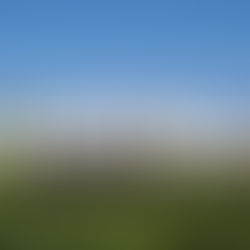 2023/3/1 (三) 晚：Xarel lo沙雷諾的變革與創新-Pares Balta 巴塔酒莊餐酒會