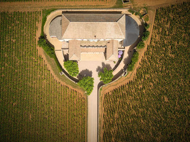 2026/4/18(六) 金字招牌：勃根地Maison Louis Latour路易拉圖酒莊