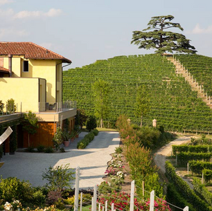 2/27(六)新派の巴羅洛之父 - Cordero di Montezemolo 蔻德洛酒莊