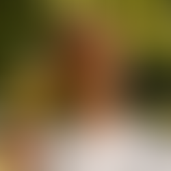 2025/3/29(六)阿爾薩斯的「自然酒連線」Du Vin aux Liens