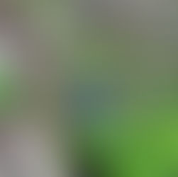 2024/8/3(六)  加那利群島『Envinate用葡萄酒潤一下』的驚喜！