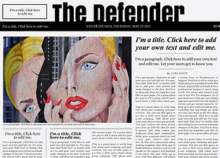 Newspaper