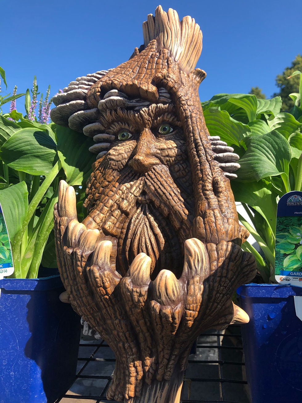 Thumbnail: Tree Spirt Planter