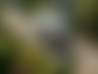 The Convenience of Landscape Supply Delivery