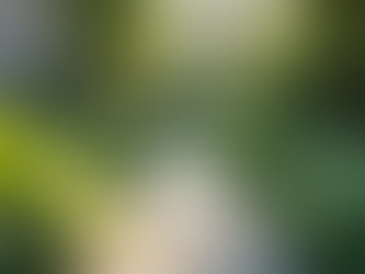 Transform Your Outdoor Spaces with London Landscaping Ideas