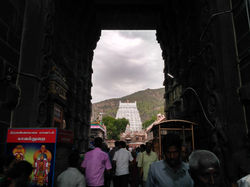 Raja (71)