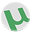 torrent.png
