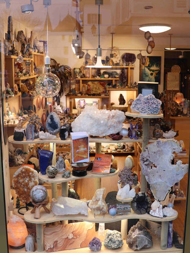 Vitrine janvier 2023.jpg