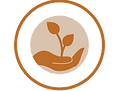 All-Organic_Korea.png