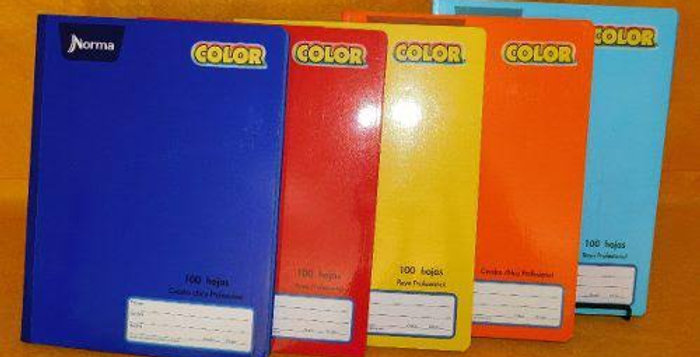 CUADERNO NORMA TIPO PROFESIONAL RAYADO