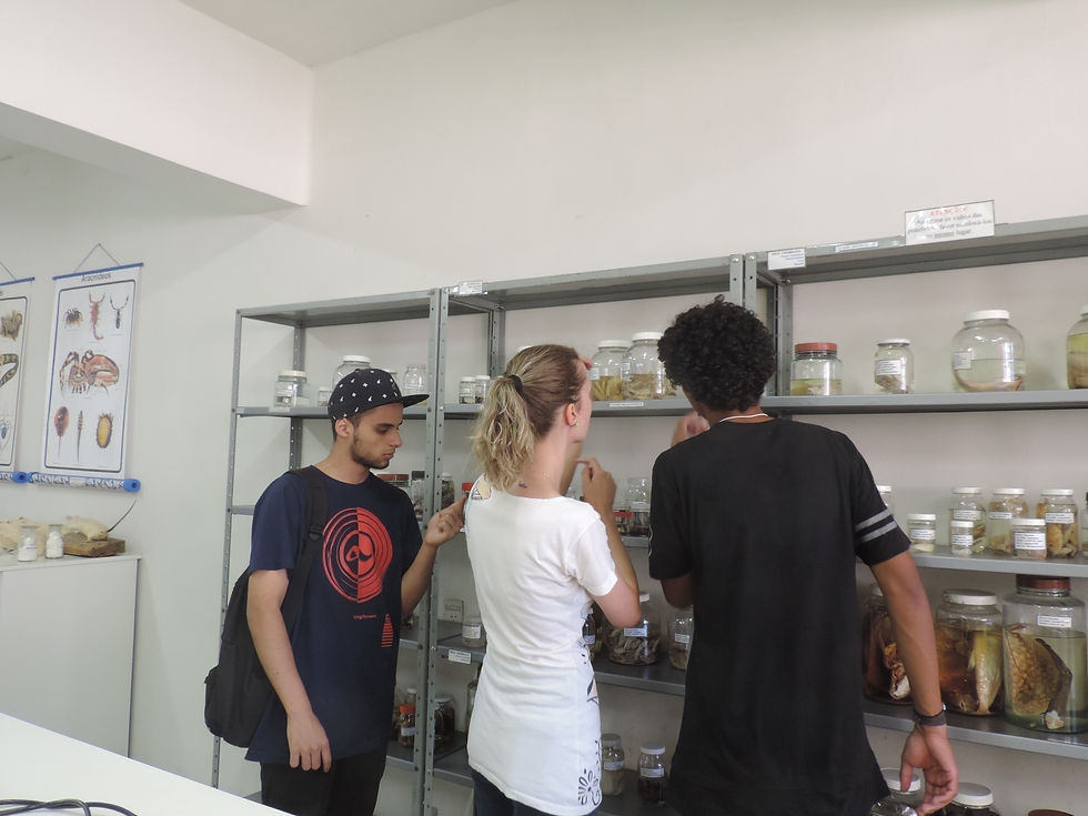 Laboratório de Zoologia da URI