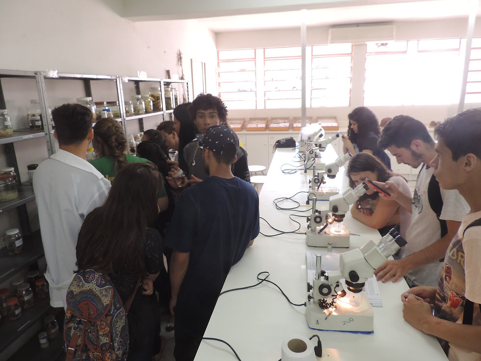 Laboratório de Zoologia da URI
