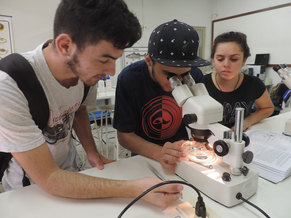 Laboratório de Zoologia da URI