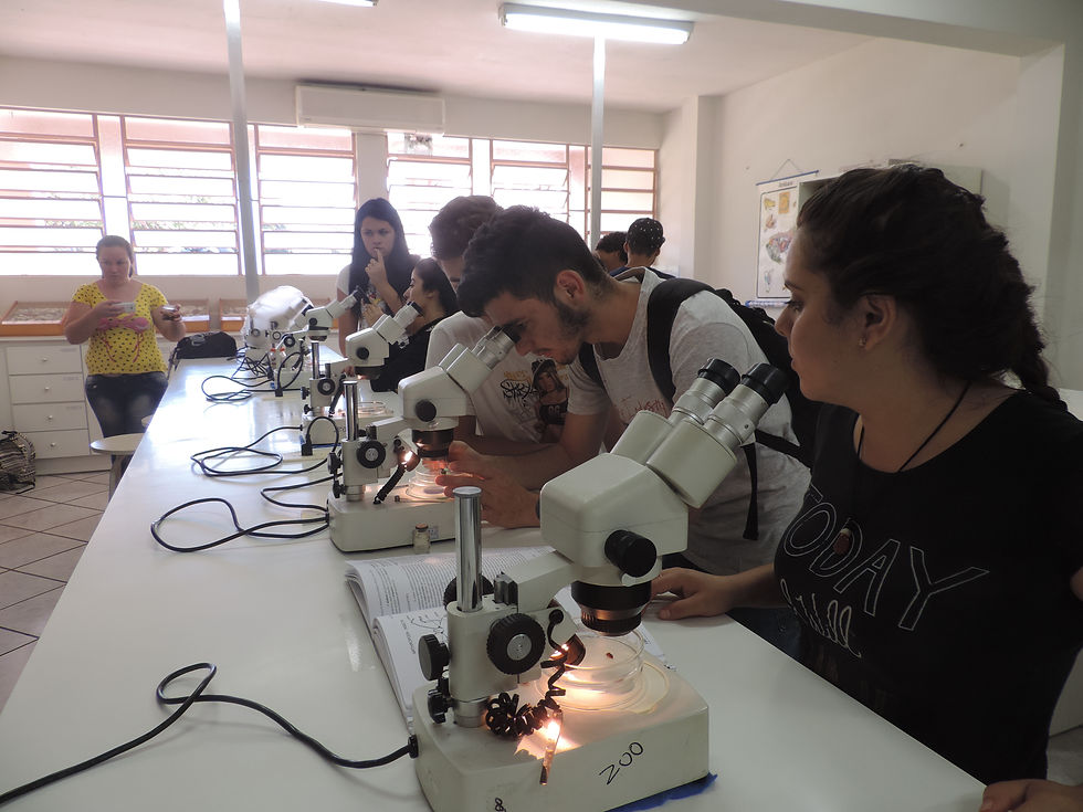 Laboratório de Zoologia da URI