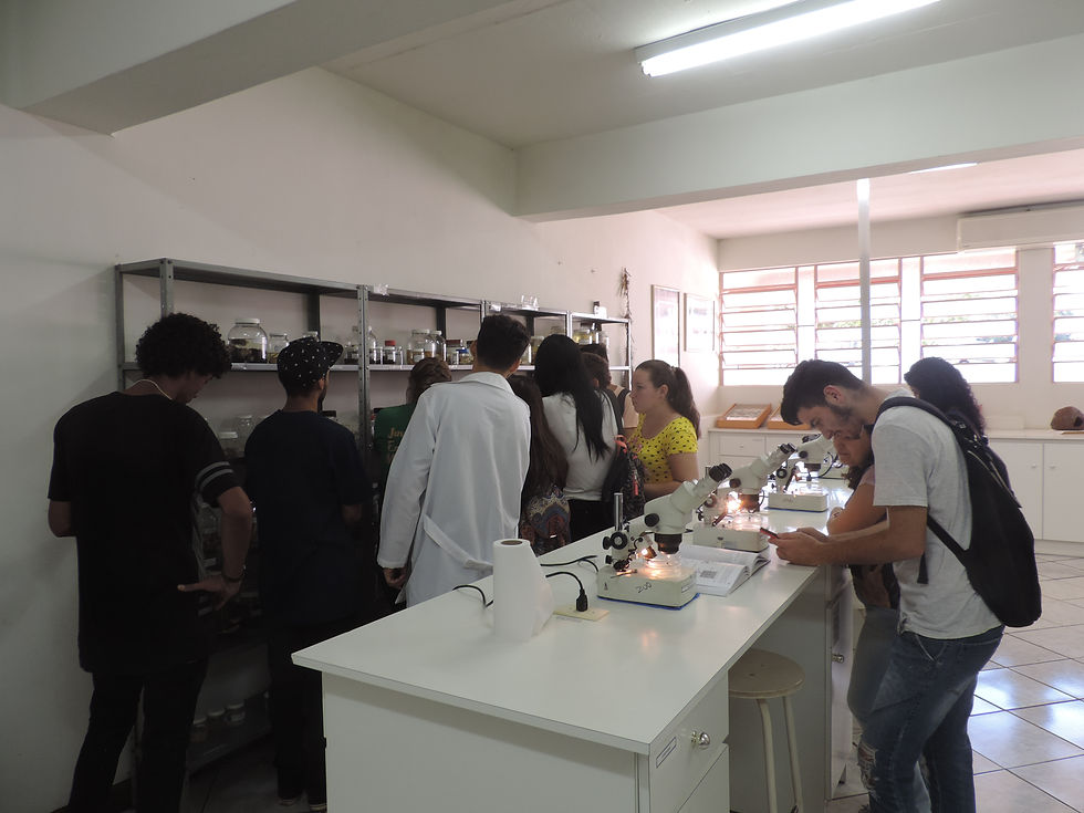 Laboratório de Zoologia da URI