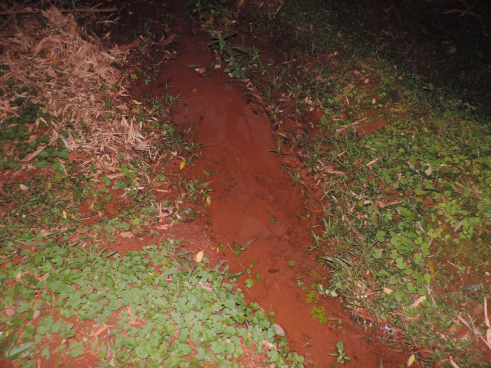 Fonte Missioneira