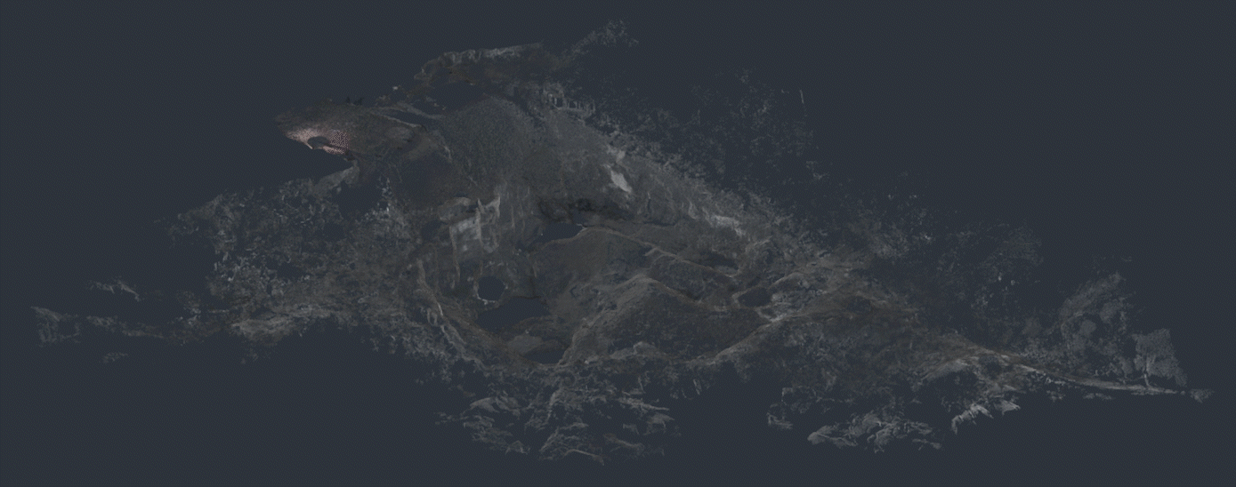 Capture_1.gif