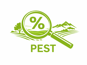 PEST Analysis: Scan. Anticipate. Win.
