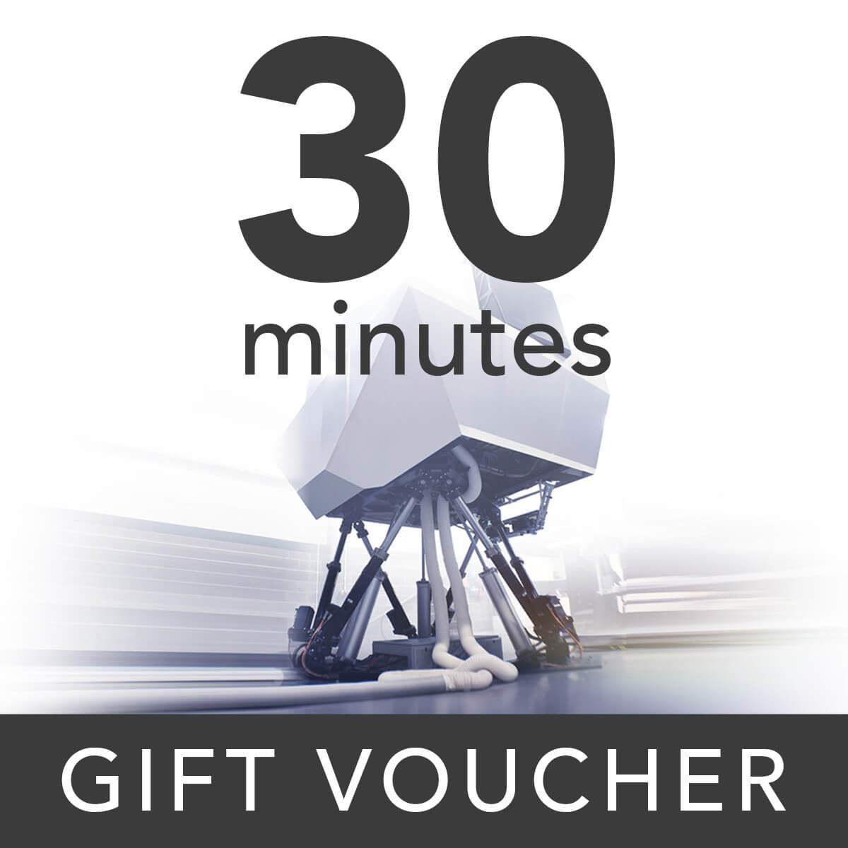 30 Minute Full Motion Flight Simulator Experience Voucher