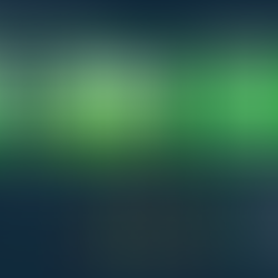 Weekly Roundup 07.07.2025
